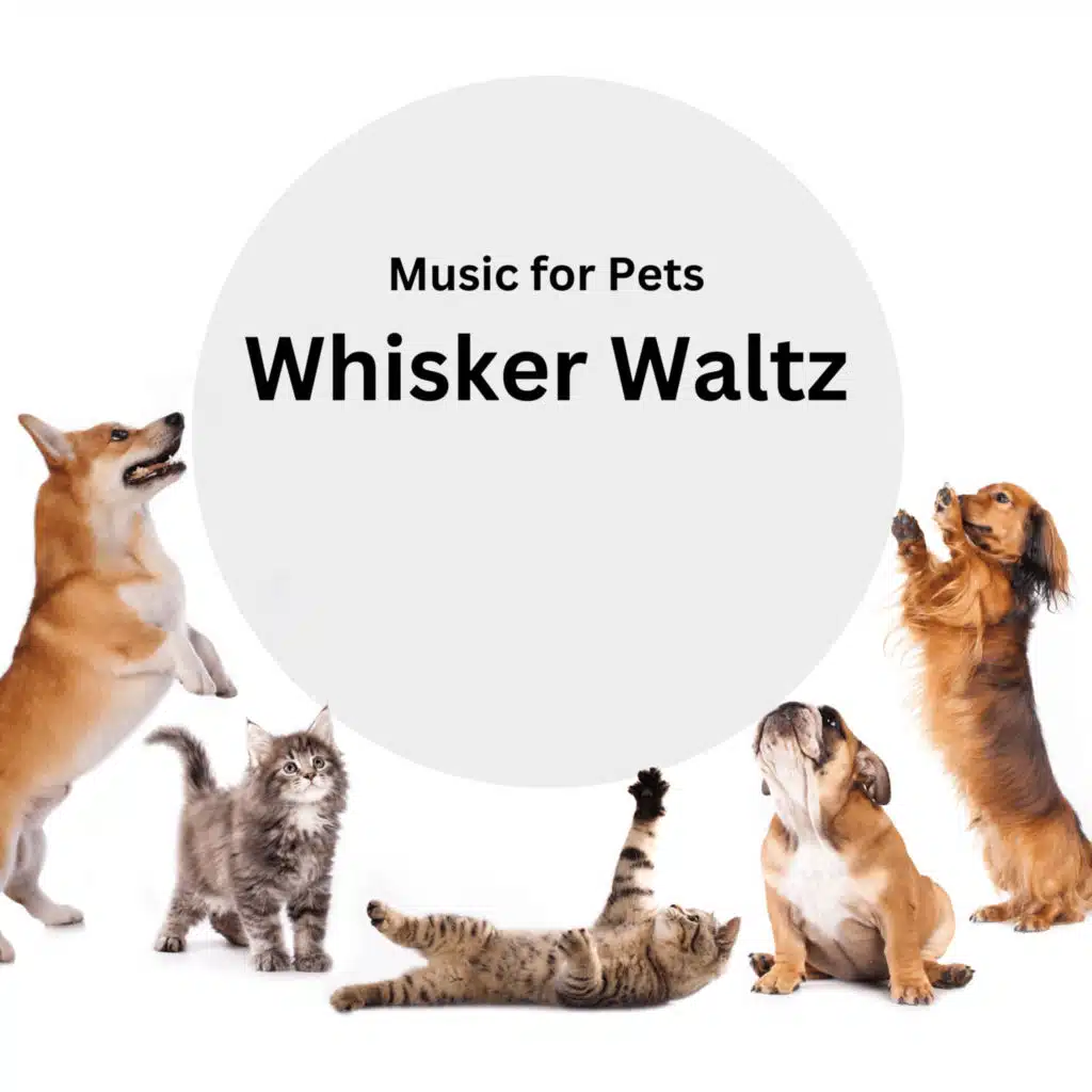 Pet Ballet in Tunes