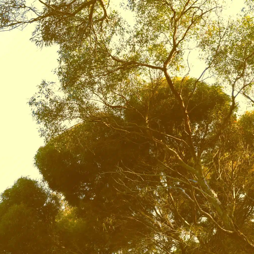 A Futile Resistance to Fading Away