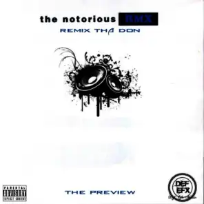 The Notorious RMX