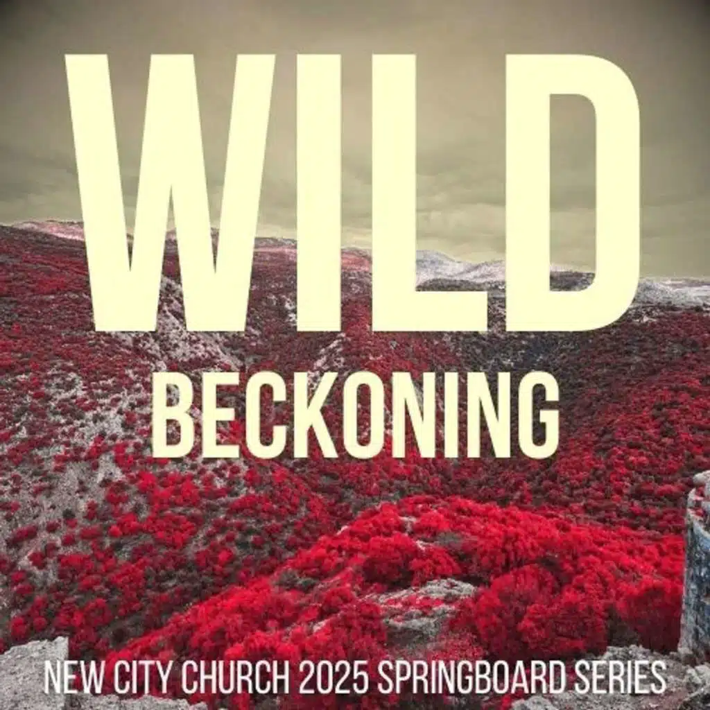 Wild Beckoning Part Four: The Wildest Plan Part One