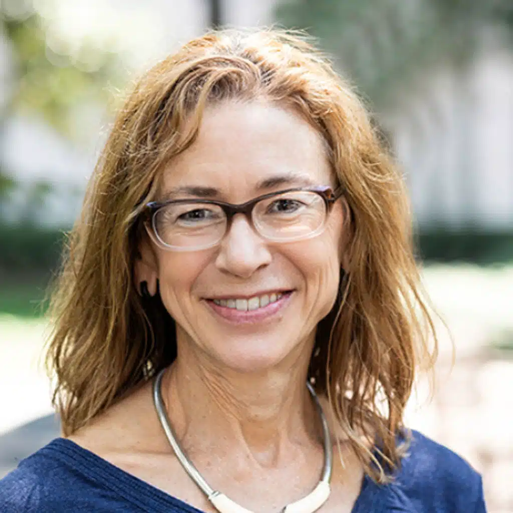 Lisa Dillman: Translating Worlds Between Spanish and English