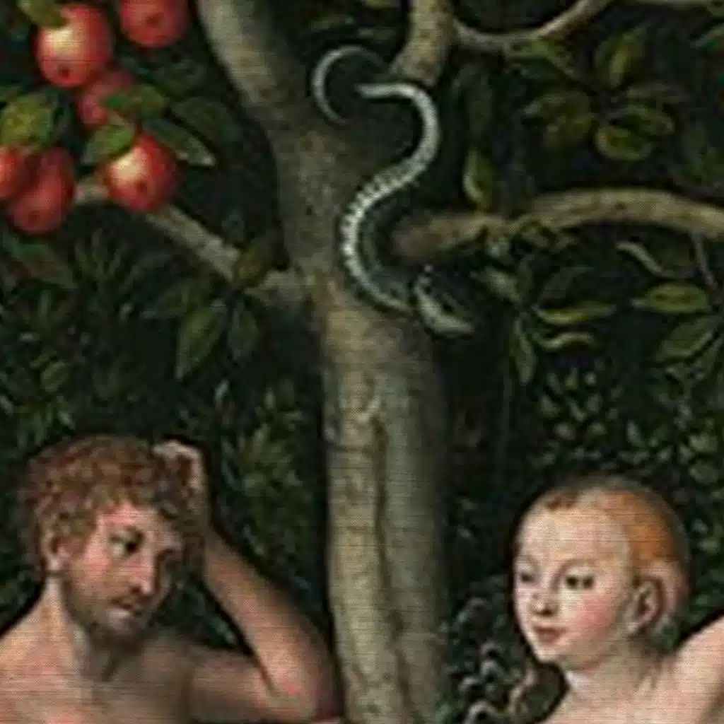 Theology of the Body – Prof. Paige Hochschild