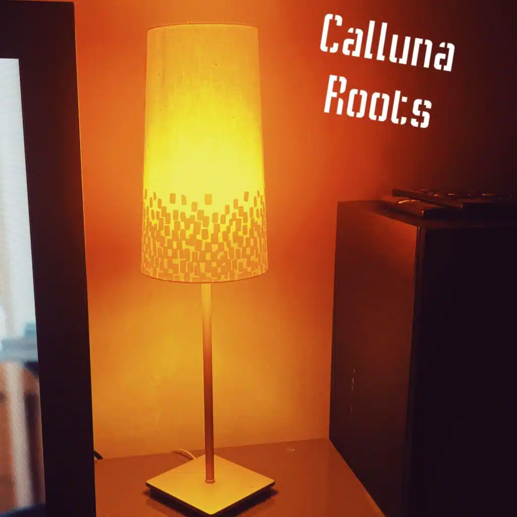 Calluna Roots