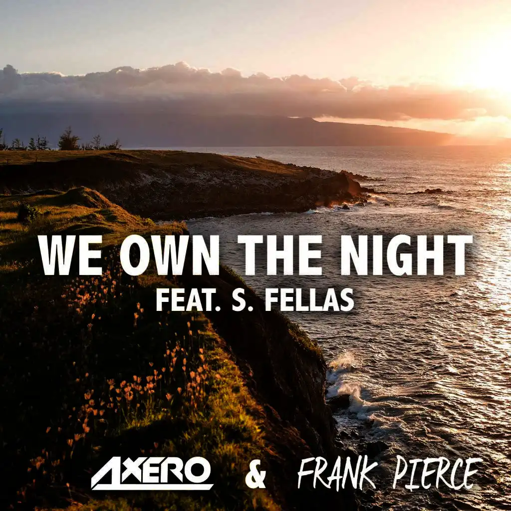 We Own The Night (feat. S. Fellas)