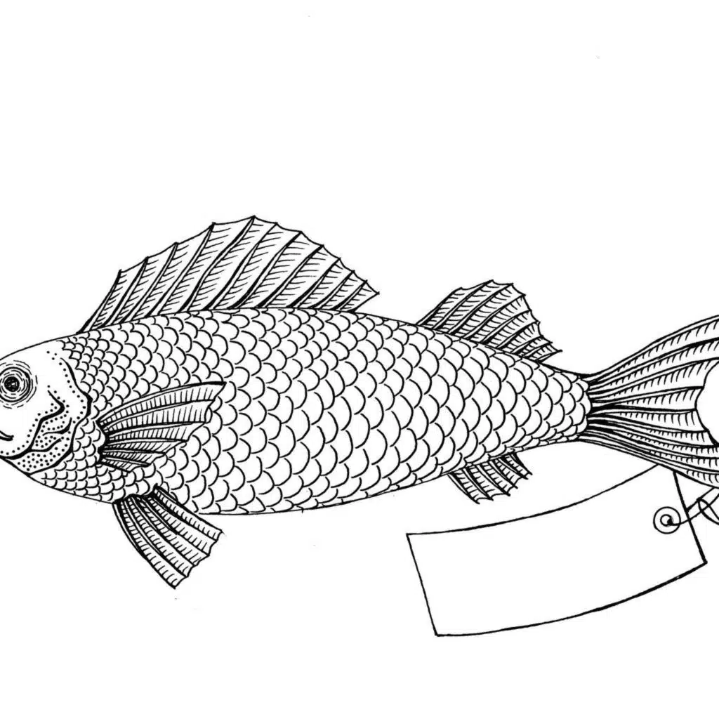 Why Fish Don't Exist