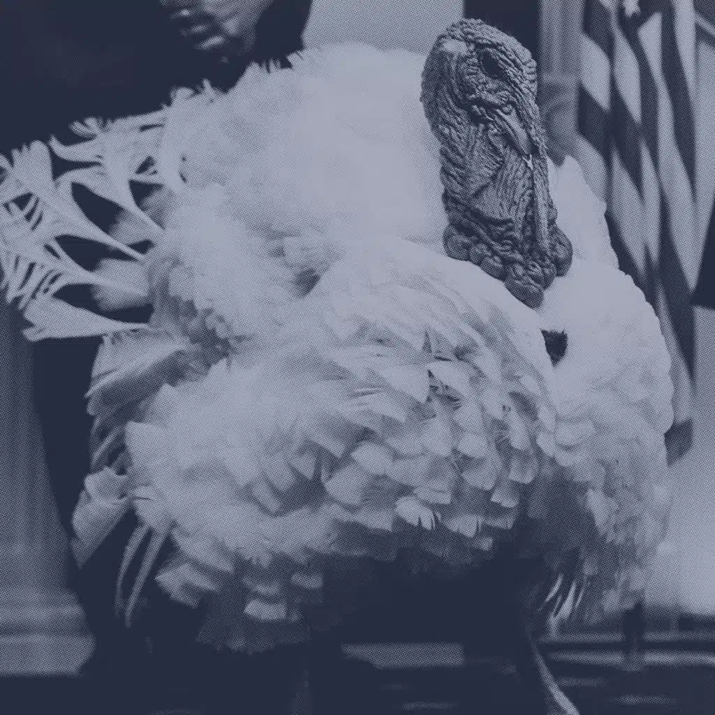 How To Avoid Talking About Politics This Thanksgiving