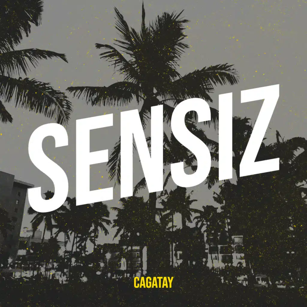 Sensiz