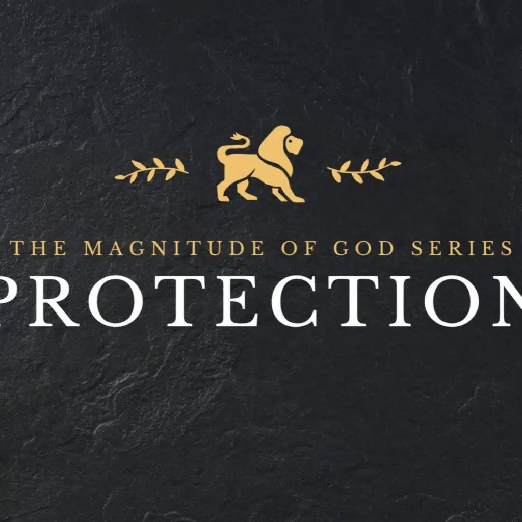 Magnitude of God Series: Protected // November 23, 2025