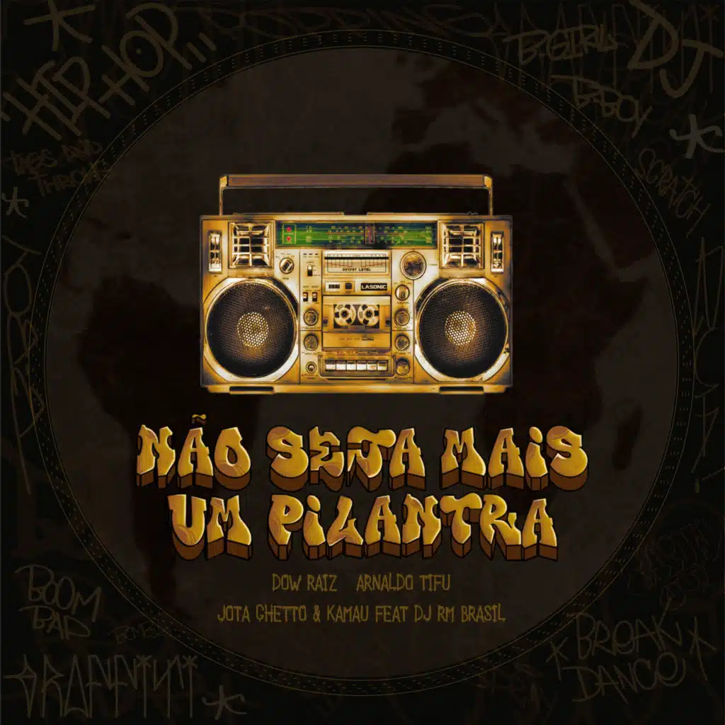 Não Seja Mais Um Pilantra (feat. DJ RM Brasil)