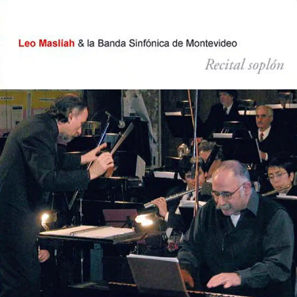 Vacas Demasiado Cerca de la Carretera