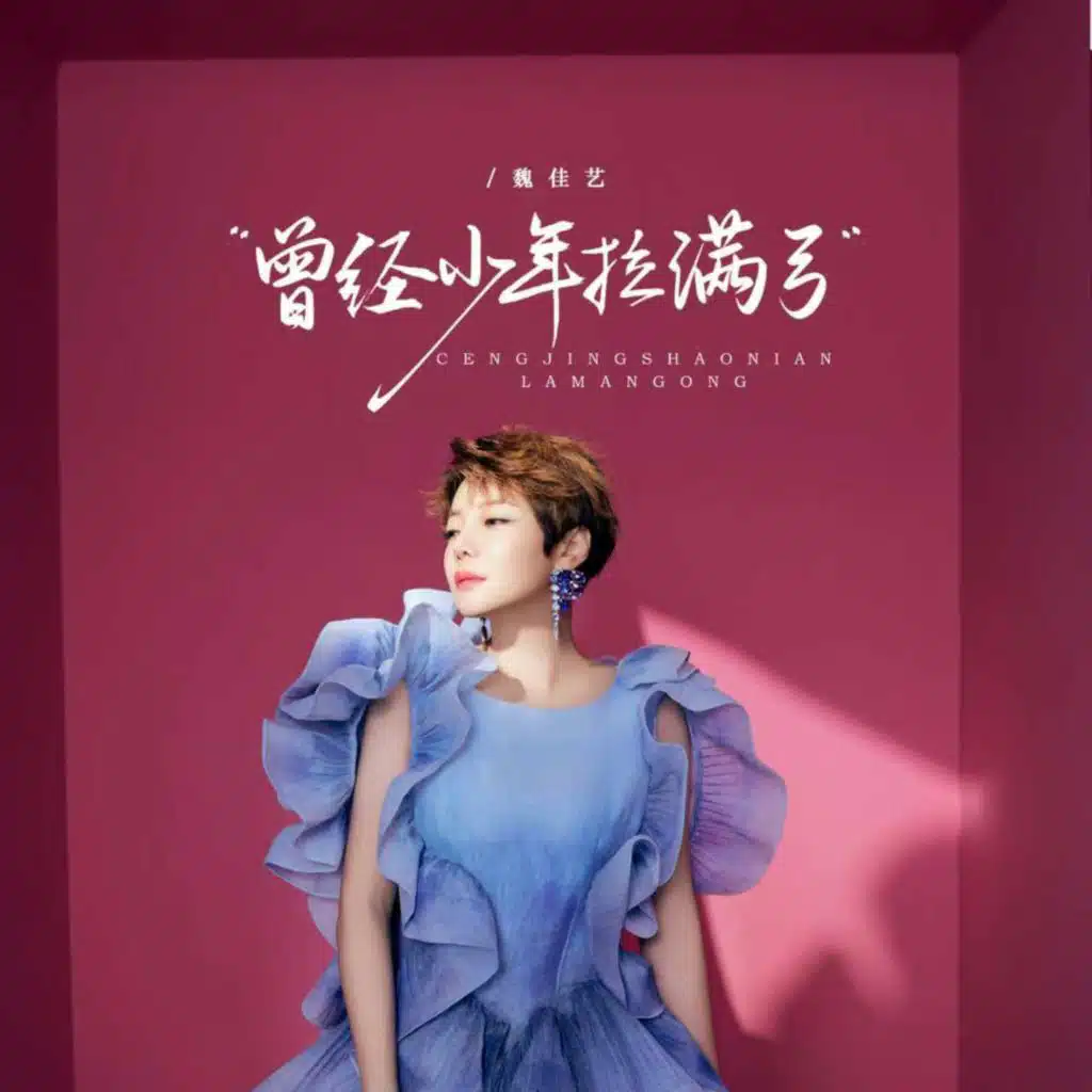 曾经少年拉满弓