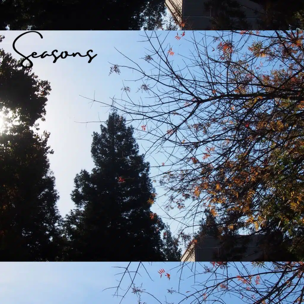 SEASONS