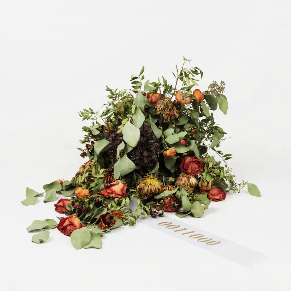 Tears (feat. Soho Rezanejad)