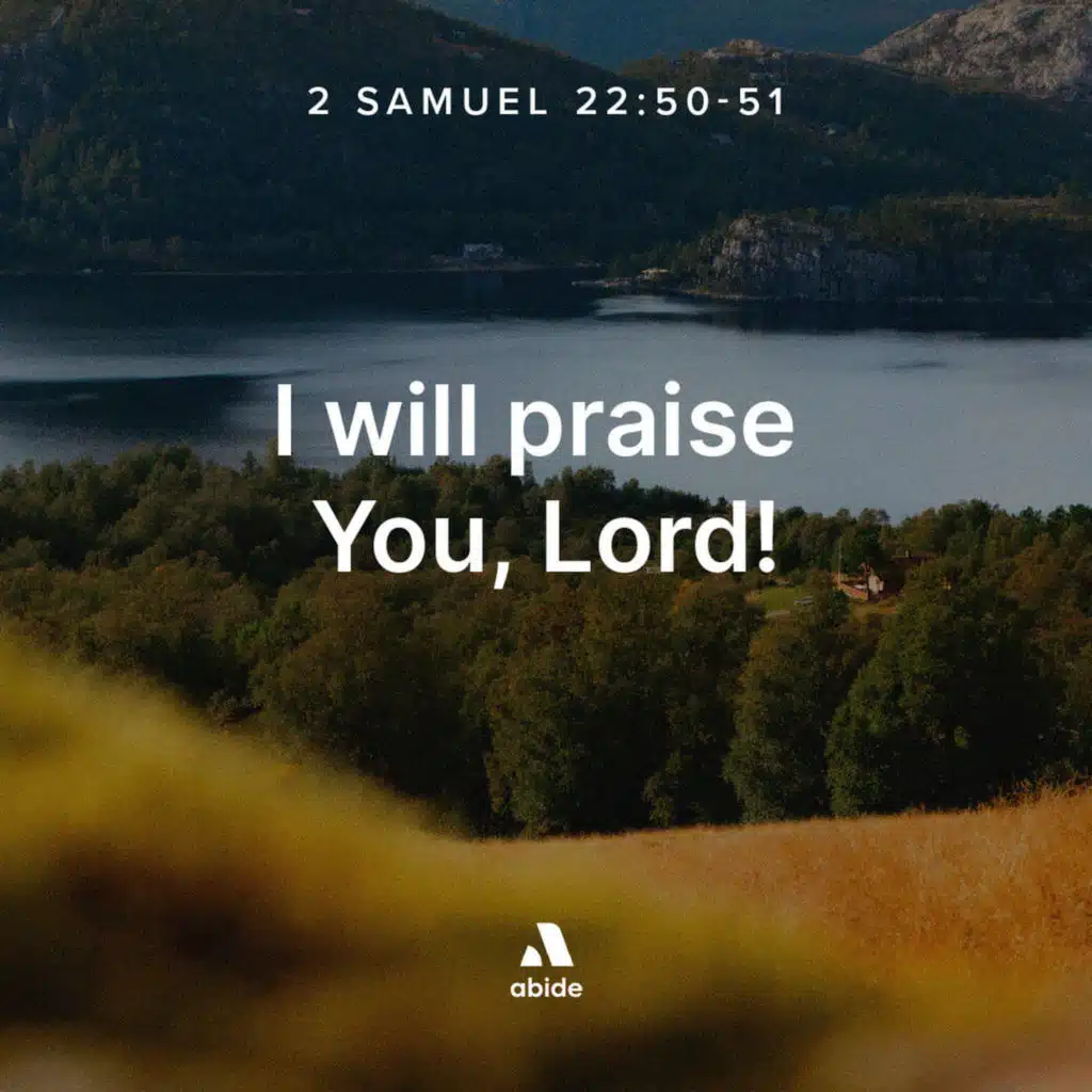 What Are You Thankful For?