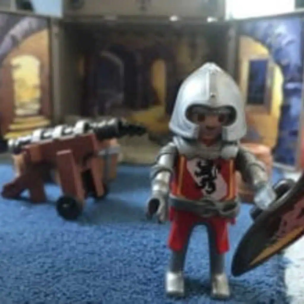 SG #167: Playmobil