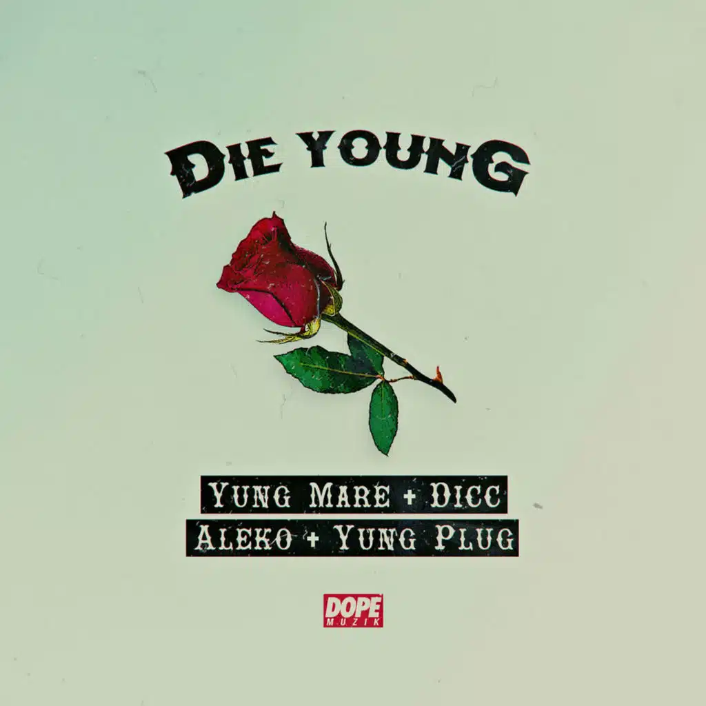 Die Young (feat. YungPlug)