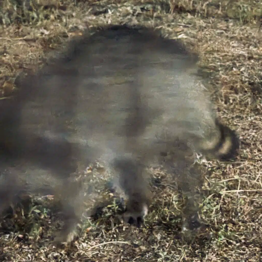 Christian Paul Philippi