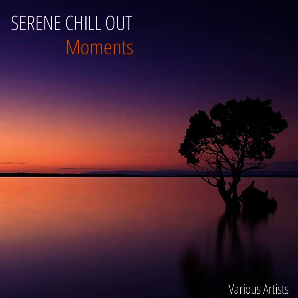 Serene Chill Out Moments