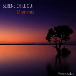 Serene Chill Out Moments