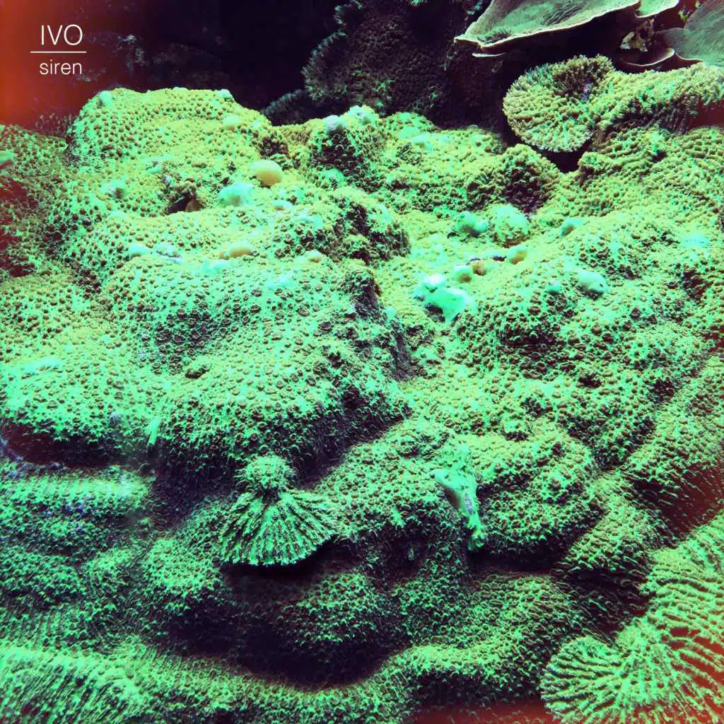 Siren (Mtmbt Remix (Radio Edit))