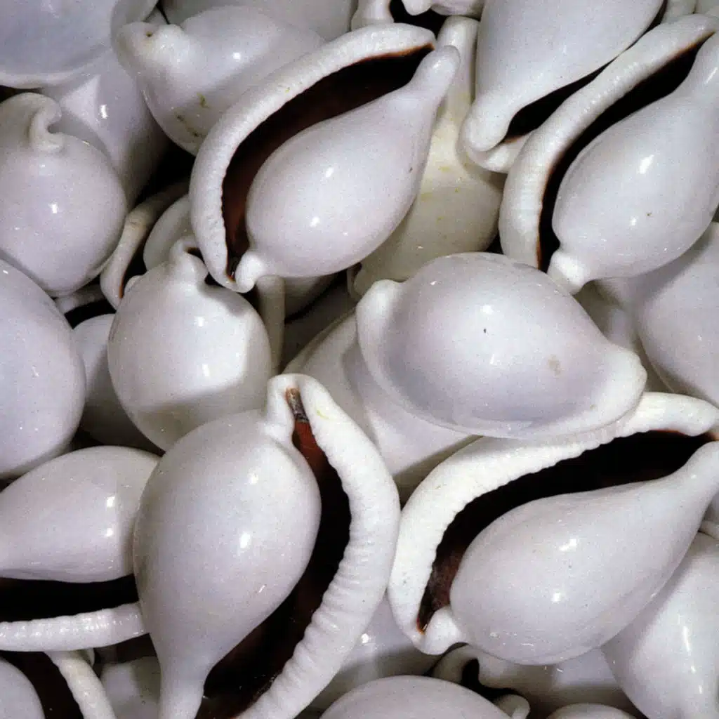 Hecho En El Espacio (Vinyl Extra Track)