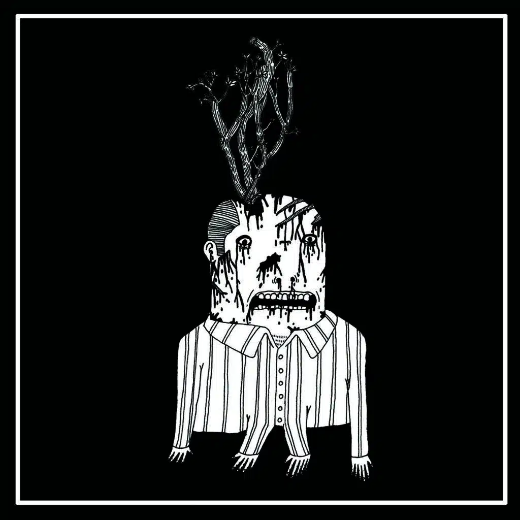 Can't Kids - Schooner Split 7