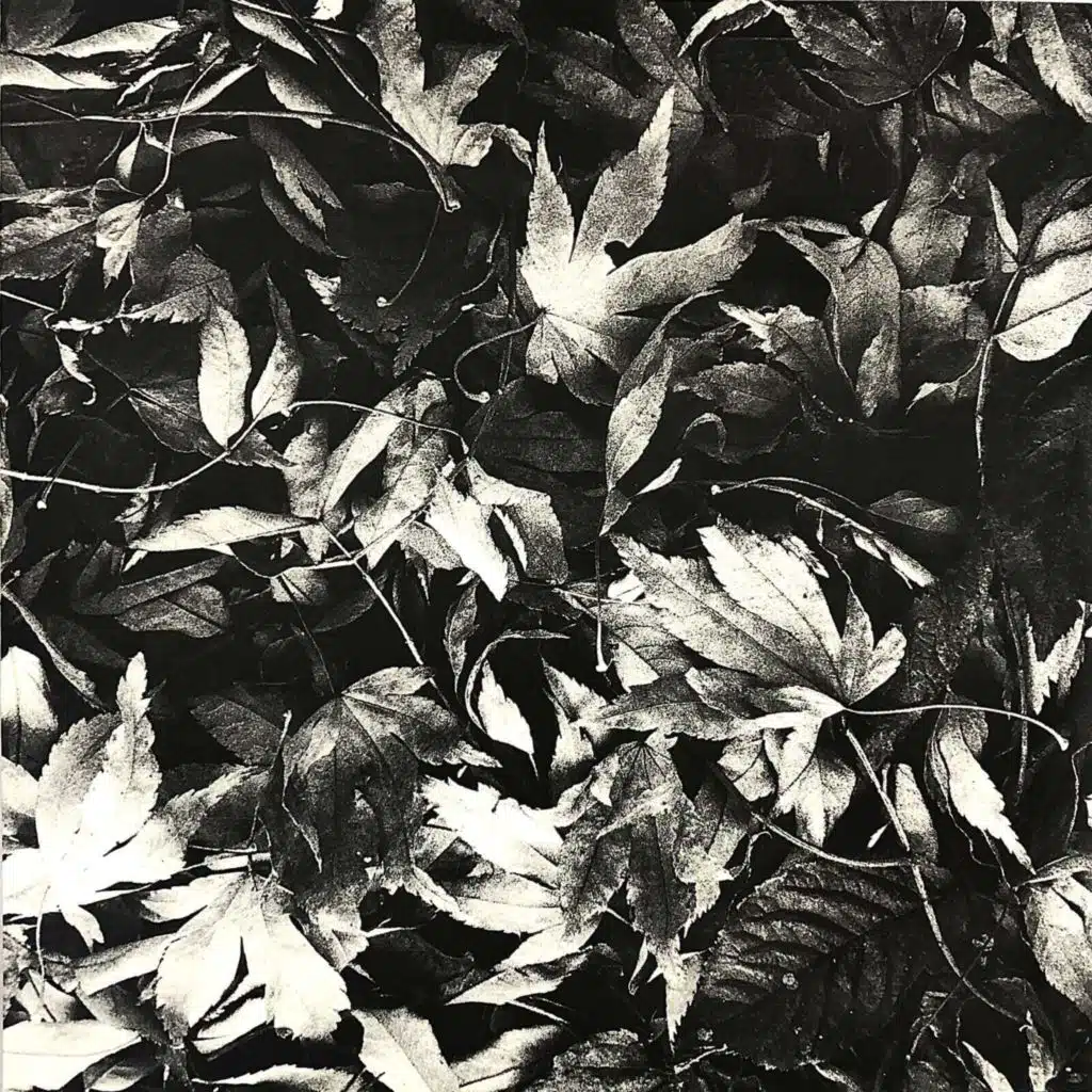 All Different Things