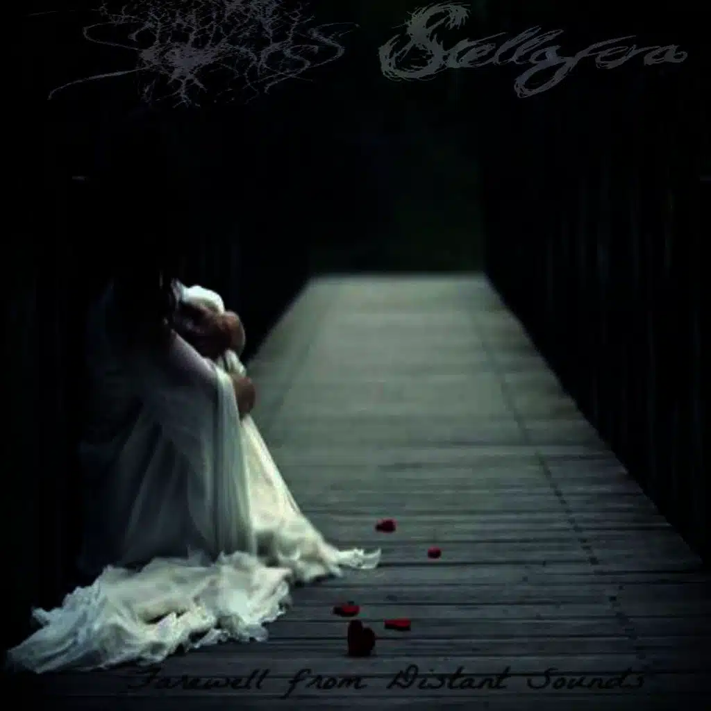 Farewell From Distant Sounds