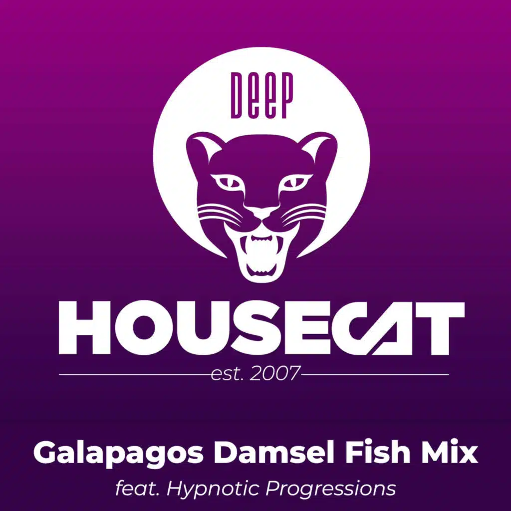 Galapagos Damsel Fish Mix - feat. Hypnotic Progressions | Deep House Cat Show