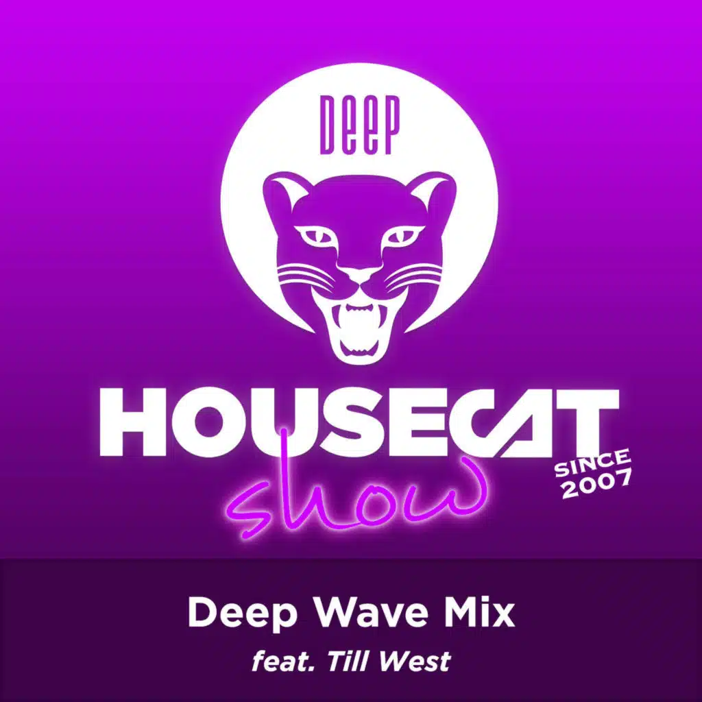 Deep Wave Mix - feat. Till West | Deep House Cat Show