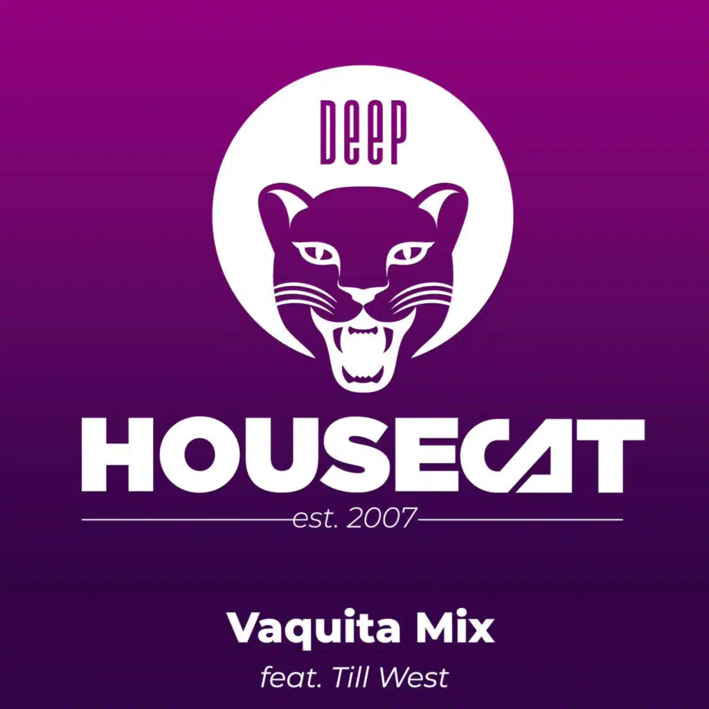 Vaquita Mix - feat. Till West | Deep House Cat Show