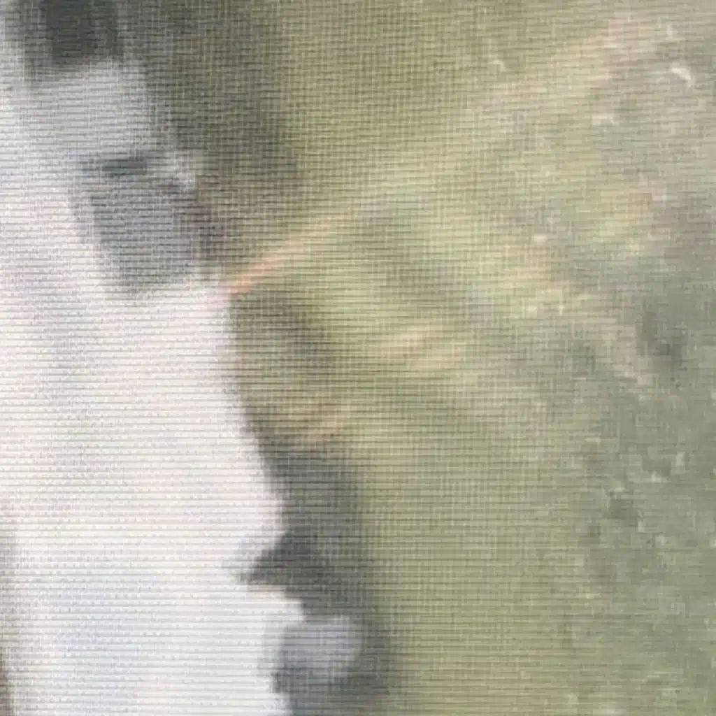 r32 they wanna fly (feat. platov)