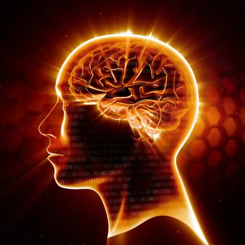 What Black Friday does to your brain!