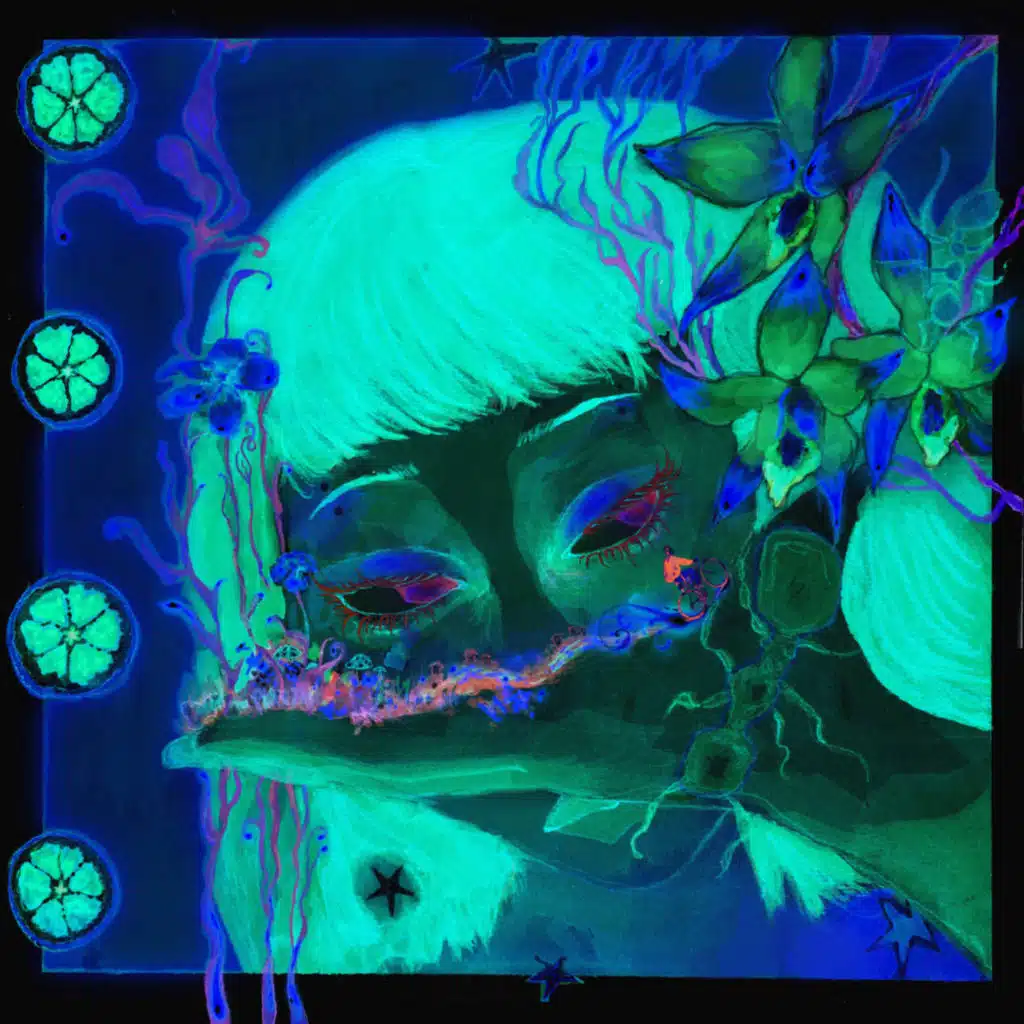 Esquivando Caracoles - B