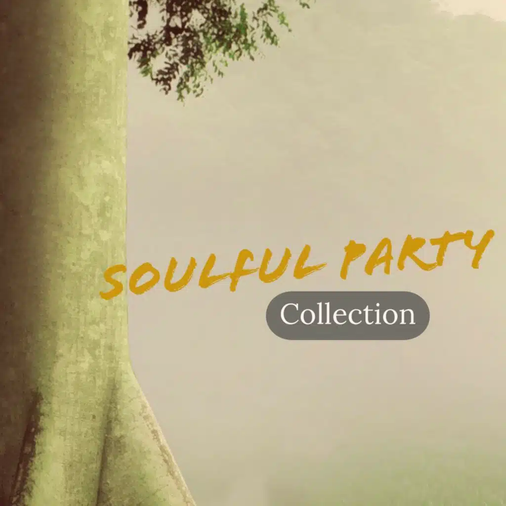 Soulful Party Collection