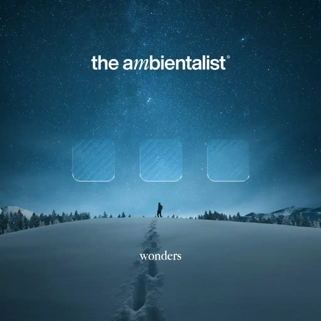 The Ambientalist
