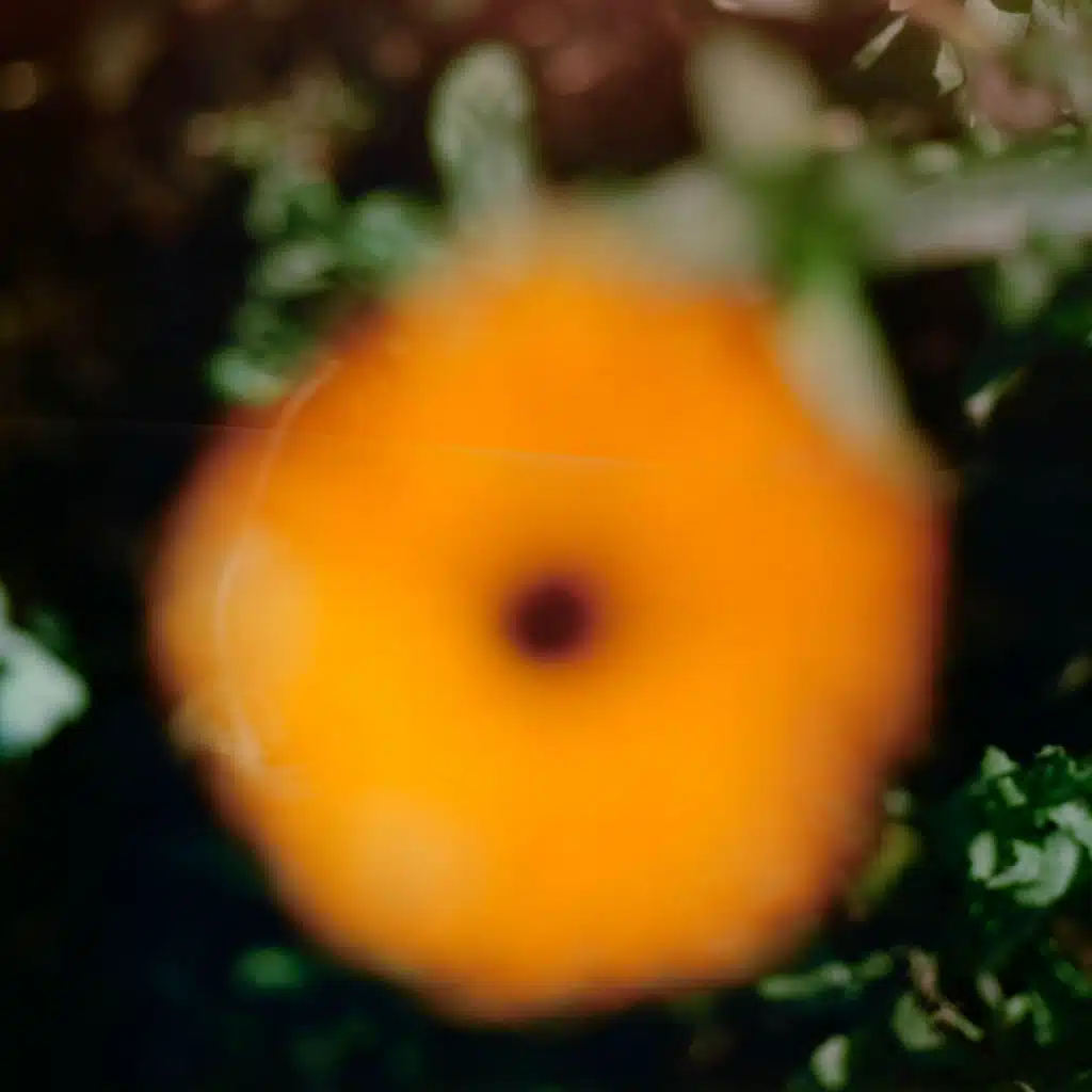 Loke Rahbek, Frederik Valentin & Croatian Amor