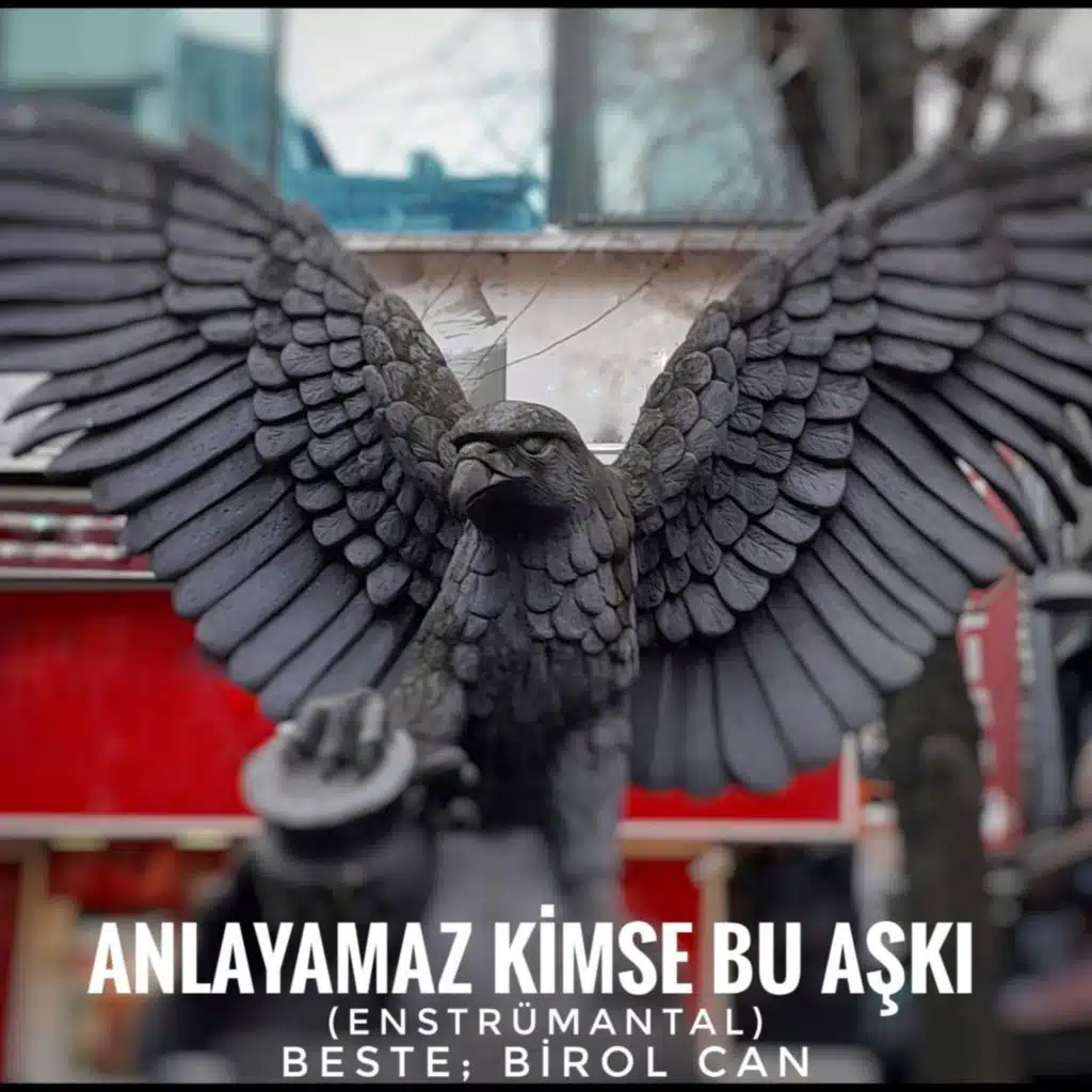 Anlayamaz Kimse Bu Aşkı