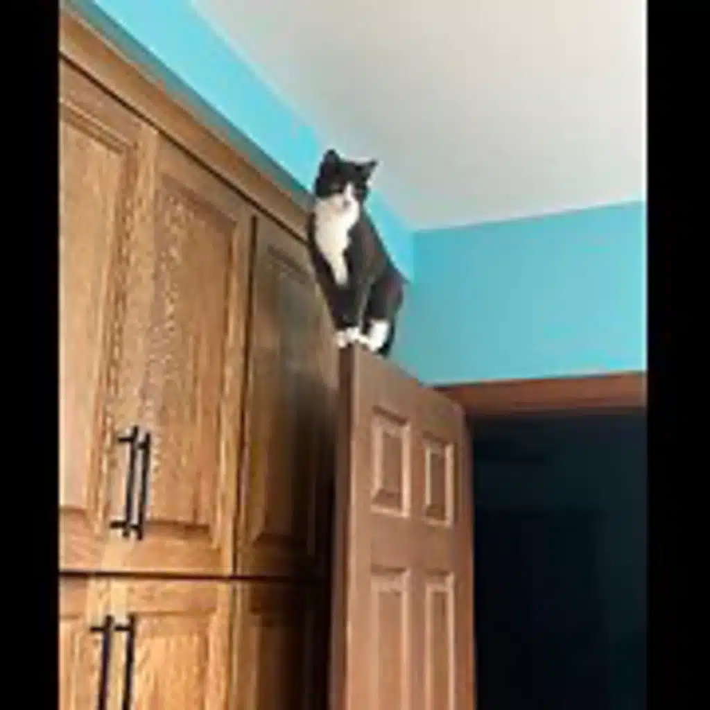 Episode 3030 CWSA 11/28/25