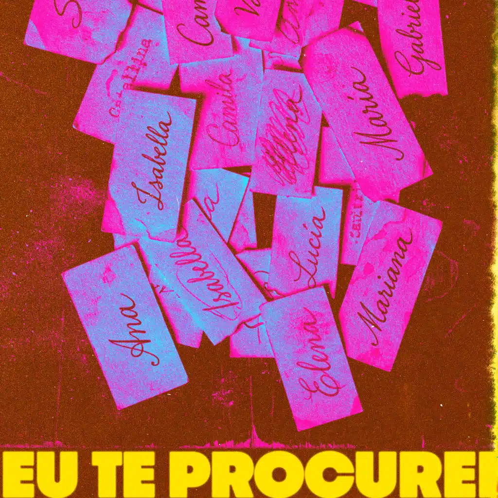 Eu Te Procurei