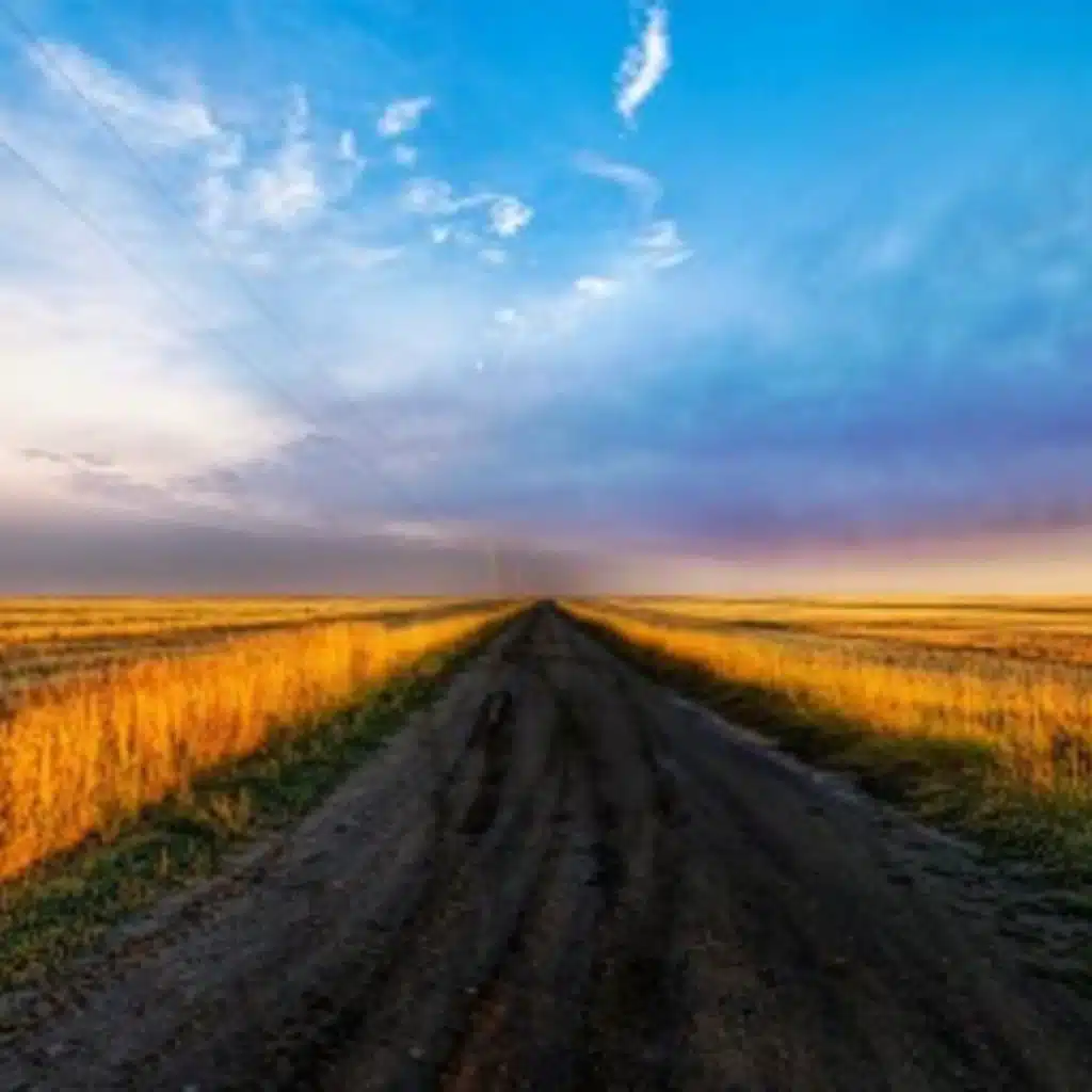 77-The Long Road to Reform 02