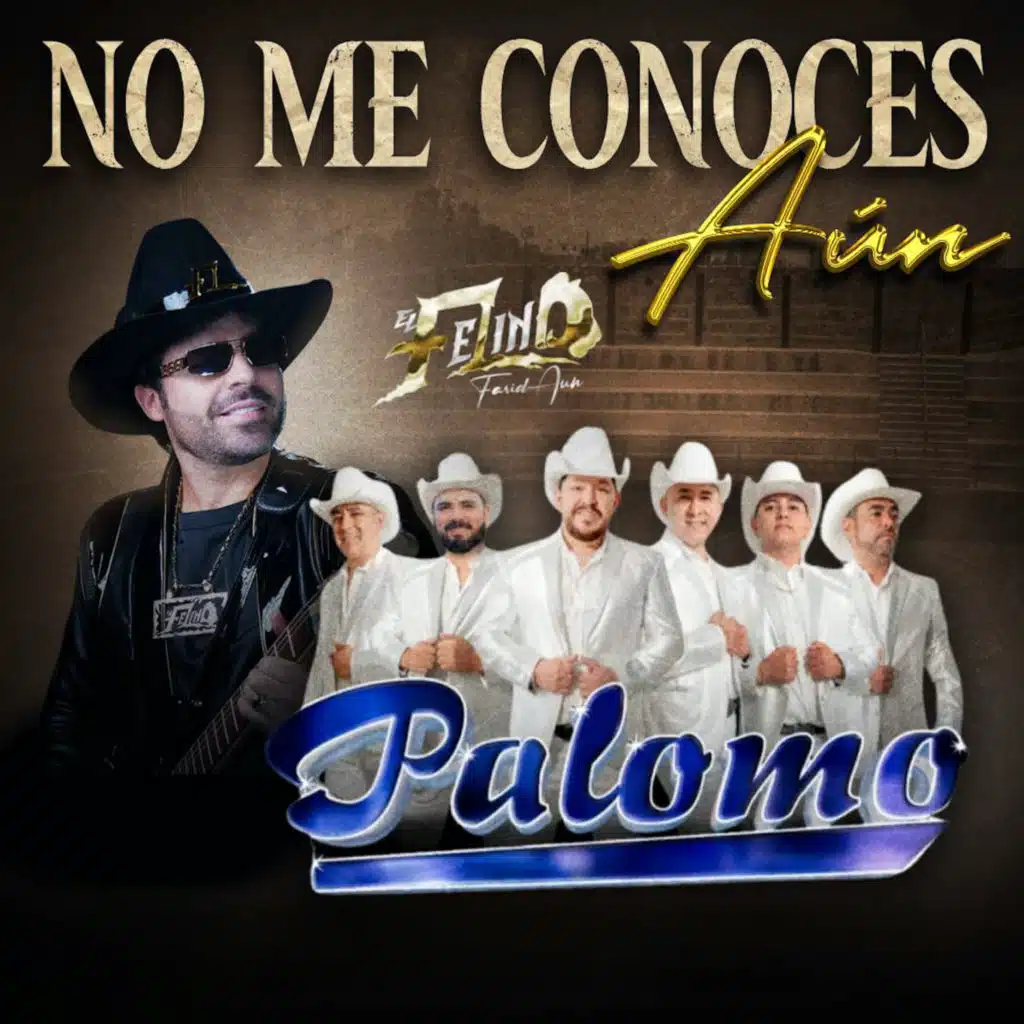 No Me Conoces Aún
