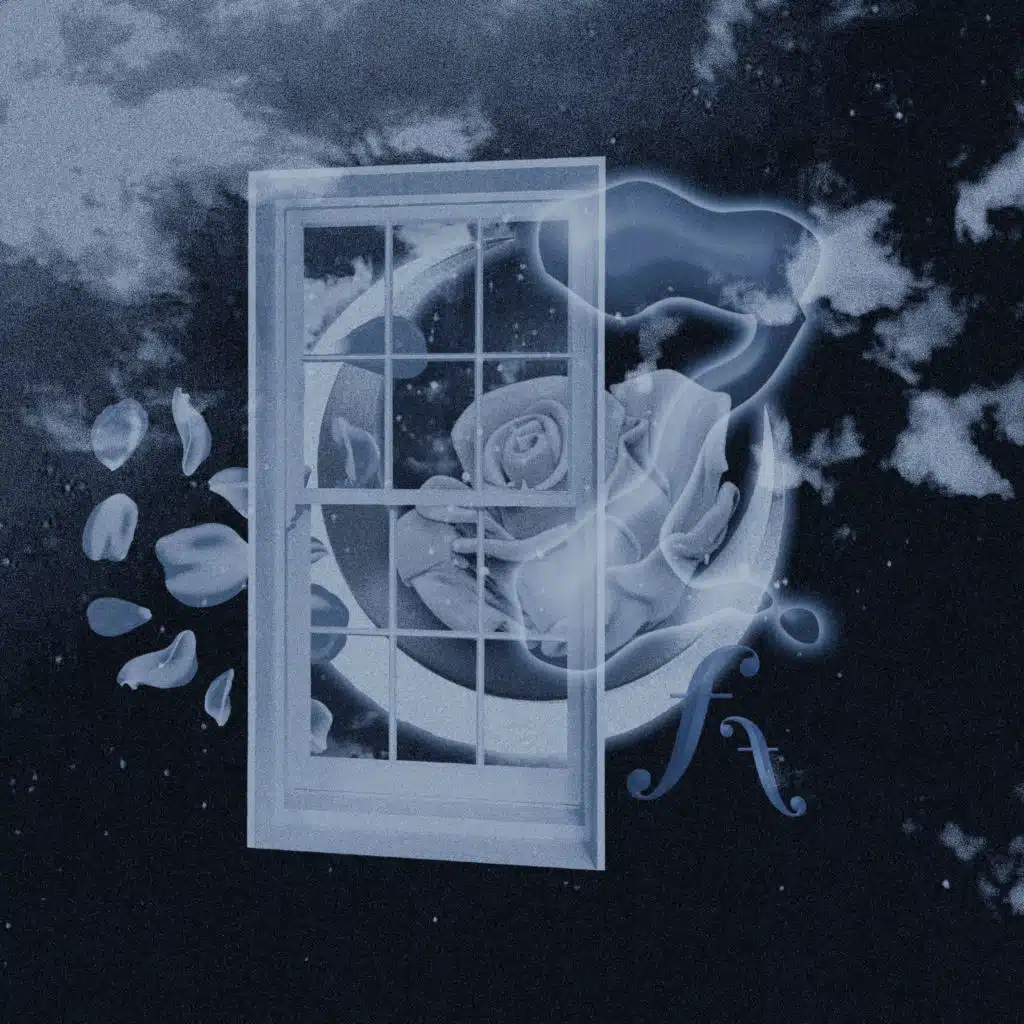 Evening Primrose (E B U Rework)