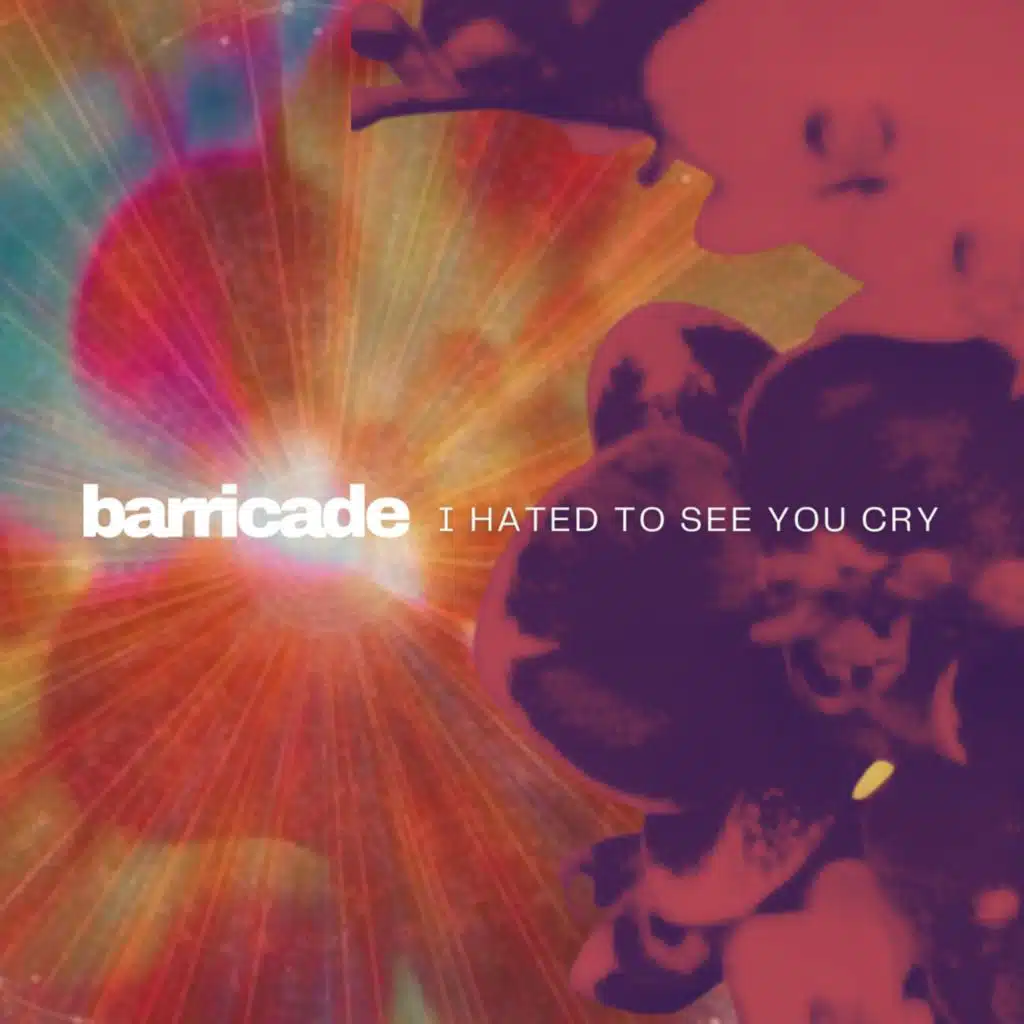 i hated to see you cry (demo tracks)