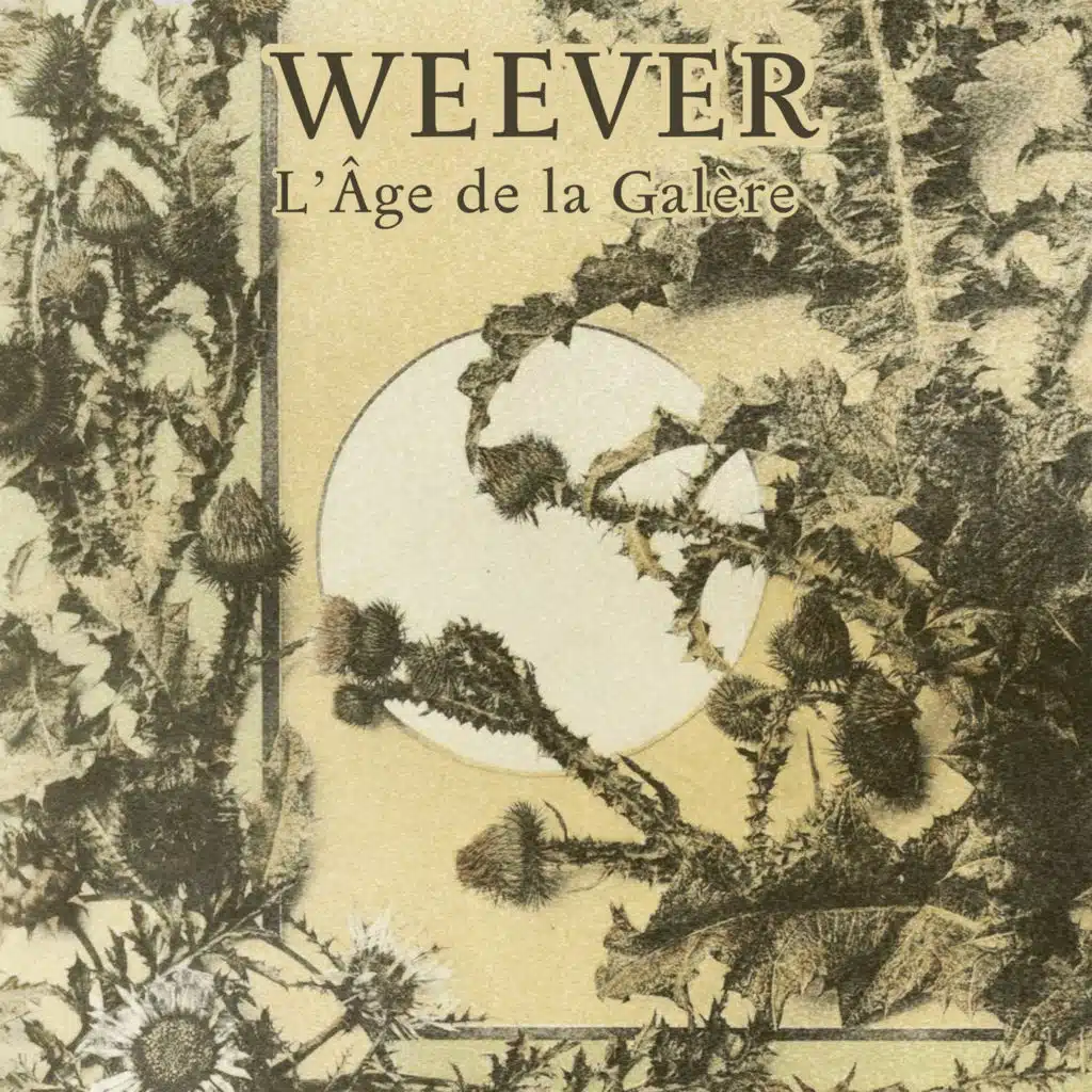 Weever