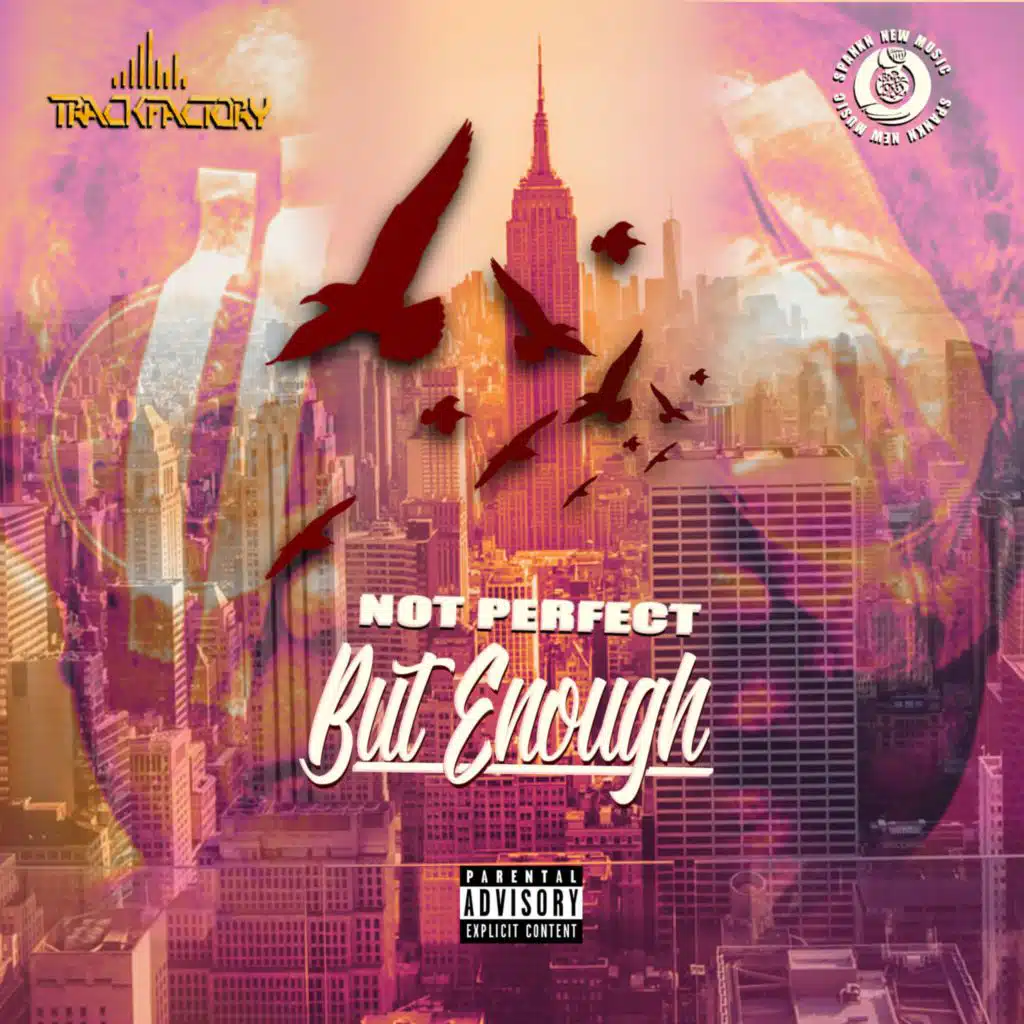 NOT PERFECT BUT ENOUGH VOL1