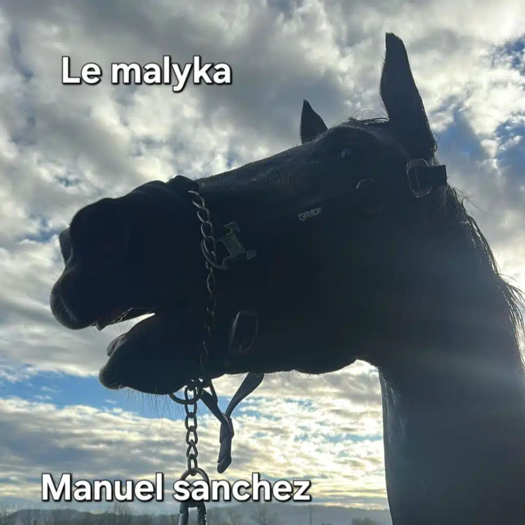 Le malyka