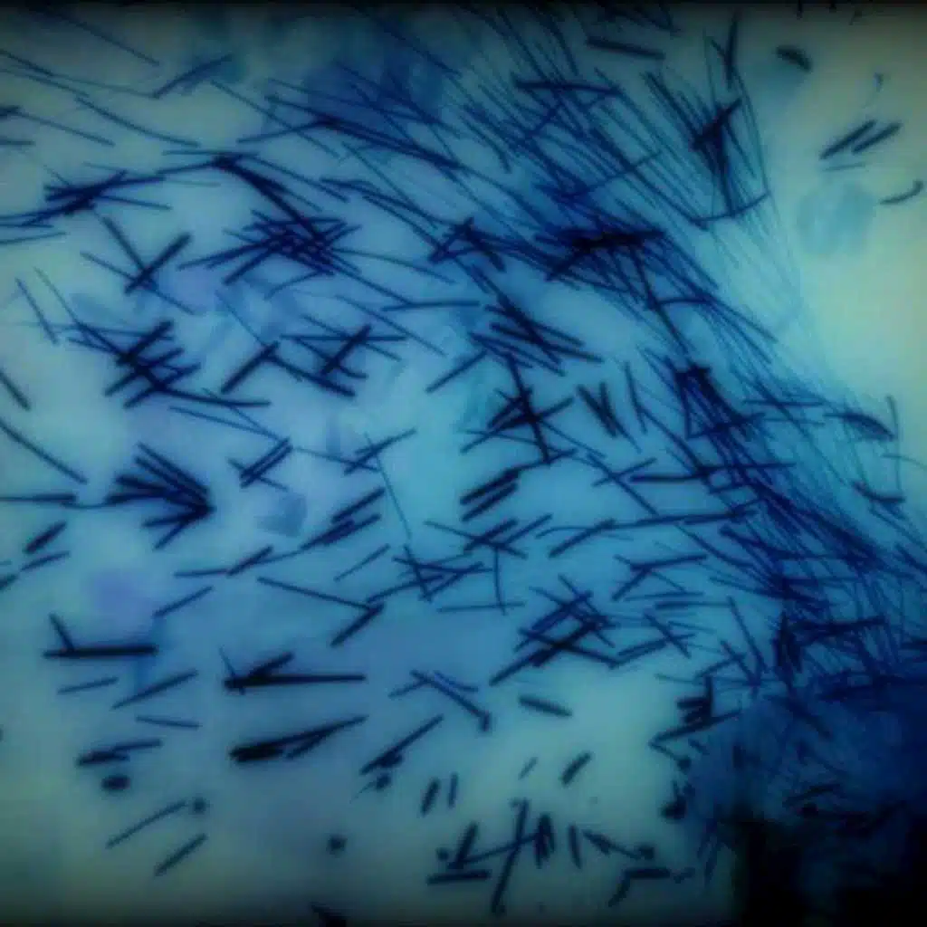 Come up for Air (feat. Mariel)