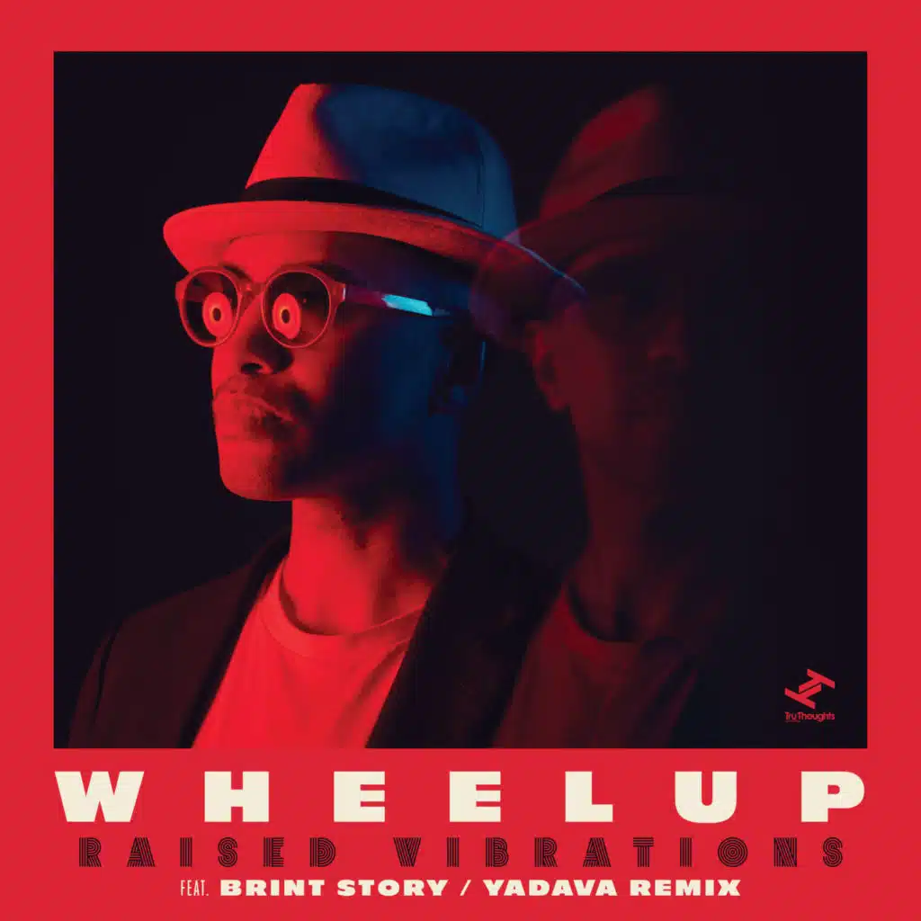 Raised Vibrations (Yadava Remix) [feat. Brint Story]