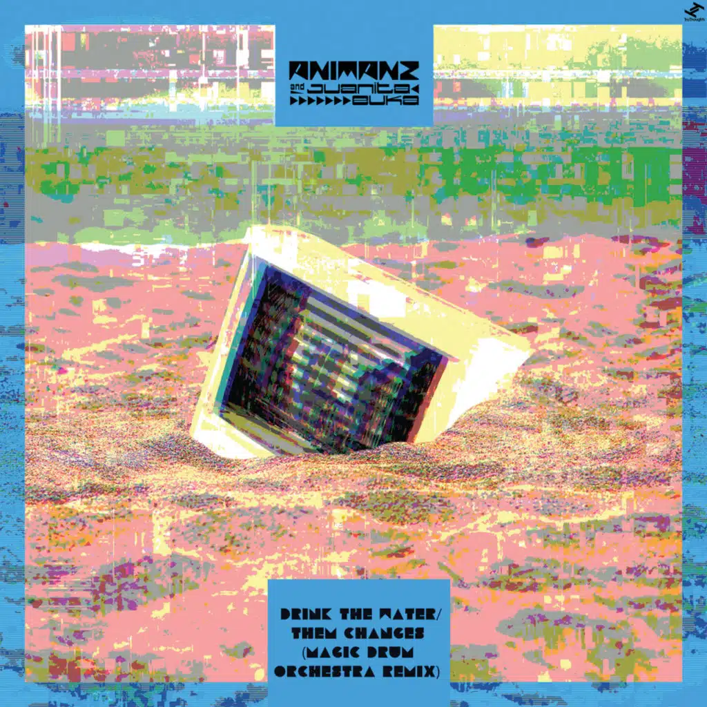 Drink the Water / Them Changes